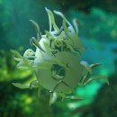 Tentáculos Ein Projekt aus dem Bereich 3-D-Animation von José Luis Morán - 16.04.2019