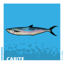 Carite. Un proyecto de Ilustración tradicional, Ilustración vectorial e Ilustración digital de fiesky - 06.05.2019