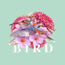 BIRD: Estampado textil con técnicas digitales. Colagem, e Desenho artístico projeto de Diego José Guzmán González - 21.08.2019
