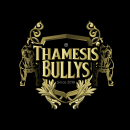 Thamesis Bully. Br, ing & Identit project by Marianny Amaris - 08.20.2019