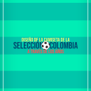 Infografía camisetas Selección Colombia. Traditional illustration, Graphic Design, Infographics, and Digital Illustration project by Marcela Londono - 03.09.2019