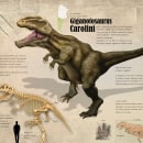 Giganotosaurus carolini. Un projet de Design  de Sebastián Martín - 02.08.2015
