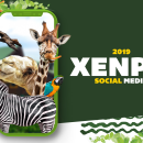 XENPAL. Un proyecto de Diseño, Br, ing e Identidad y Creatividad de Fernando Espinosa - 26.11.2019