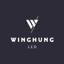 Winghung LED. Un proyecto de Br, ing e Identidad, Diseño gráfico, Pattern Design y Diseño de logotipos de Sonia Vidal Garcia - 30.01.2019
