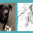 Mi Proyecto del curso: Rotoscopia a mi perro. Animation project by Kris Igu - 01.27.2020