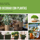 Decorar Interiores con plantas. Decoração de interiores projeto de Angela Vilchez - 20.03.2020