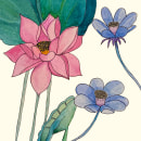 Ilustración botánica con acuarela - Fabián Vera. Botanical Illustration project by Fabián Ignacio Vera Ramírez - 03.29.2020
