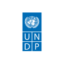 United Nations Development Programme. Un proyecto de Diseño de logotipos de Chermayeff & Geismar & Haviv - 31.03.2002
