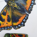 Butterflies. Watercolor Painting project by Julie Warrington Morrow - 04.01.2020