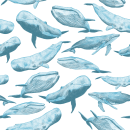 Whales. Ilustração tradicional, e Pattern Design projeto de Gloria CaRo - 20.03.2020