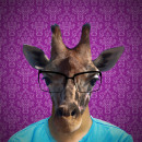 Giraffe. Photograph, Collage, Street Art, and Digital Design project by IVAN IBARRA - 04.11.2020