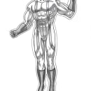 Mi Proyecto del curso: Ilustración para cómics: anatomía de un superhéroe. Pencil Drawing project by cristian leguiza - 04.15.2020