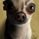 Chiguagua rules!!!. Realistic Drawing, and Digital Drawing project by Adrián Gutierrez Aguerri - 04.21.2020