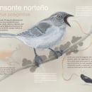 My project in Naturalist Animal Illustration with Procreate course. Digital Illustration project by M IJ - 05.12.2020
