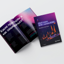 Booklet about DDoS attacks. Un proyecto de Diseño y Diseño gráfico de Irina Lifintseva - 13.05.2020