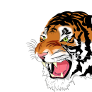 Tiger. Ilustração digital projeto de Luigi Bosso - 14.05.2020