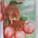 Harvest mouse. Traditional illustration, Painting, and Watercolor Painting project by Sara Boido - 05.16.2020