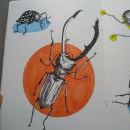 Insects . Un proyecto de Dibujo de KateMaryT - 16.05.2020