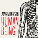 Cover illustration and typography for Adventures in Human Being by Gavin Francis. Traditional illustration, T, and pograph project by Sarah King - 07.11.2017