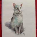 Mi gatito Clemente. Un proyecto de Pintura a la acuarela de Paulina Brito - 21.05.2020