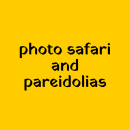 photo safari and pareidolias. Traditional illustration project by Jennifer Boyd - 05.29.2020