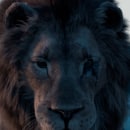 Lion Ein Projekt aus dem Bereich 3D von Jonathan Aceituno Fuentes - 04.06.2020