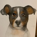 Dog Portrait watercolor. Un projet de Aquarelle de Salma Shabayek - 11.06.2020