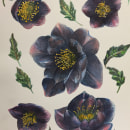My project in Botanical Illustration with Watercolors course. Pintura em aquarela projeto de Ailsa Clarke - 09.06.2020