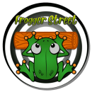 Frogger Street. Video Games project by juanmarg11 - 09.30.2019