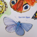 British Wildlife. Watercolor Painting project by Julie Warrington Morrow - 07.23.2020