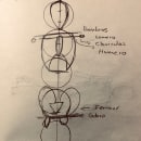 Mi Proyecto del curso: Dibujo anatómico para principiantes. Pencil Drawing, and Figure Drawing project by Carlos Lara - 07.28.2020