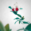 CATTLEYA. Design, Illustration, Graphic Design, Painting, Creativit, Pencil Drawing, Drawing, Digital Illustration, Watercolor Painting, Artistic Drawing, Botanical Illustration, Digital Drawing, and Digital Painting project by martinezink - 08.03.2020