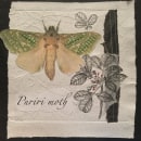 Puriri Moth. Un proyecto de Collage y Bordado de Gretchen Buwalda - 04.08.2020