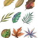 Bday Card & Botanical Study. Un proyecto de Ilustración tradicional, Pintura a la acuarela e Ilustración botánica de gigi_o - 16.08.2020