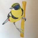 Mi Proyecto del curso: Ilustración naturalista de aves con acuarela. Fine Arts project by Valentina Flores Calderón - 08.25.2020