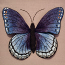 Butterfly Blue. Bordado projeto de Amanda Hendrickson - 11.09.2020