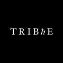 TRIBhE. Design, Advertising, Photograph, Art Direction, Graphic Design, and Marketing project by HIVEH - 09.20.2020