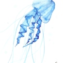 medusa en azul. Fine Arts, Watercolor Painting & Ink Illustration project by Constanza diaz-muñoz suazo - 09.25.2020