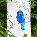 Mi Proyecto del curso: Ilustración naturalista de aves con acuarela. Watercolor Painting project by Daniela Zamora Escamilla - 09.29.2020