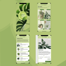 Green World App. UX / UI project by Inaki R. Lajas - 10.13.2020