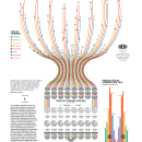 Housing beyond the pandemic. Un progetto di Architettura dell'informazione, Design dell’informazione e Infografica di Diana Estefanía Rubio - 19.10.2020