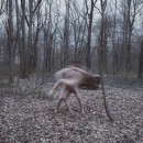 Lieber Geist  (2016) / Querido Fantasma. Een project van Fotografie, Artistieke fotografie, Buitenfotografie y  Analoge fotografie van Irene Cruz - 15.05.2016
