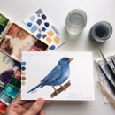 Meu projeto final com a ave: Campainha-azul. Pintura em aquarela projeto de Mariana Soares Gomes - 03.11.2020