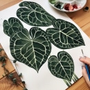 The colors of houseplants. Un proyecto de Ilustración, Pintura, Pintura a la acuarela e Ilustración botánica de Isabela Quintes - 10.11.2020