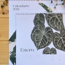 Calendario 2021. Design, Illustration, Painting, Paper Craft, Drawing, Watercolor Painting, and Botanical Illustration project by Isabela Quintes - 11.10.2020