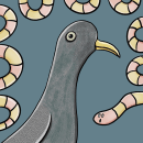 Pigeon. Ilustração tradicional projeto de Ania Krzymowska - 11.11.2020