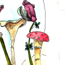 Mi Proyecto del curso: Cuaderno botánico en acuarela. Un projet de Illustration botanique de clasesdehistoriaygeo - 11.11.2020