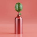 Watermelloons - Watch your head!. 3D, and 3D Animation project by Paulo Filipe Souza - 08.25.2019