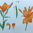 My project in Botanical Illustration with Watercolors course. Projekt z dziedziny Malowanie akwarelą, R i sunek botaniczn użytkownika agata_da - 29.11.2020