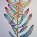 Mi Proyecto del curso: Ilustración botánica con acuarela. Ilustração tradicional e Ilustração botânica projeto de ENRIQUE PARRA - 09.12.2020